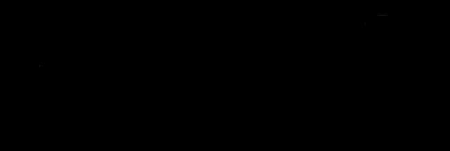 developer image